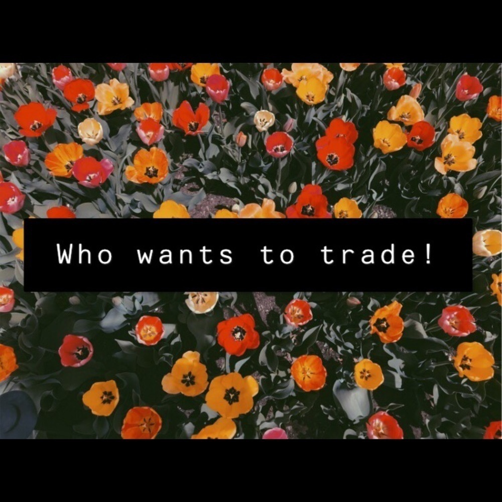 Comment below!